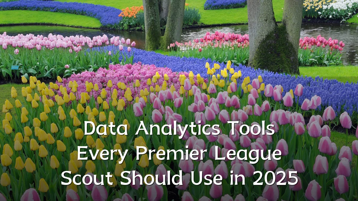 Data Analytics Tools Every Premier League Scout Should Use in 2025
