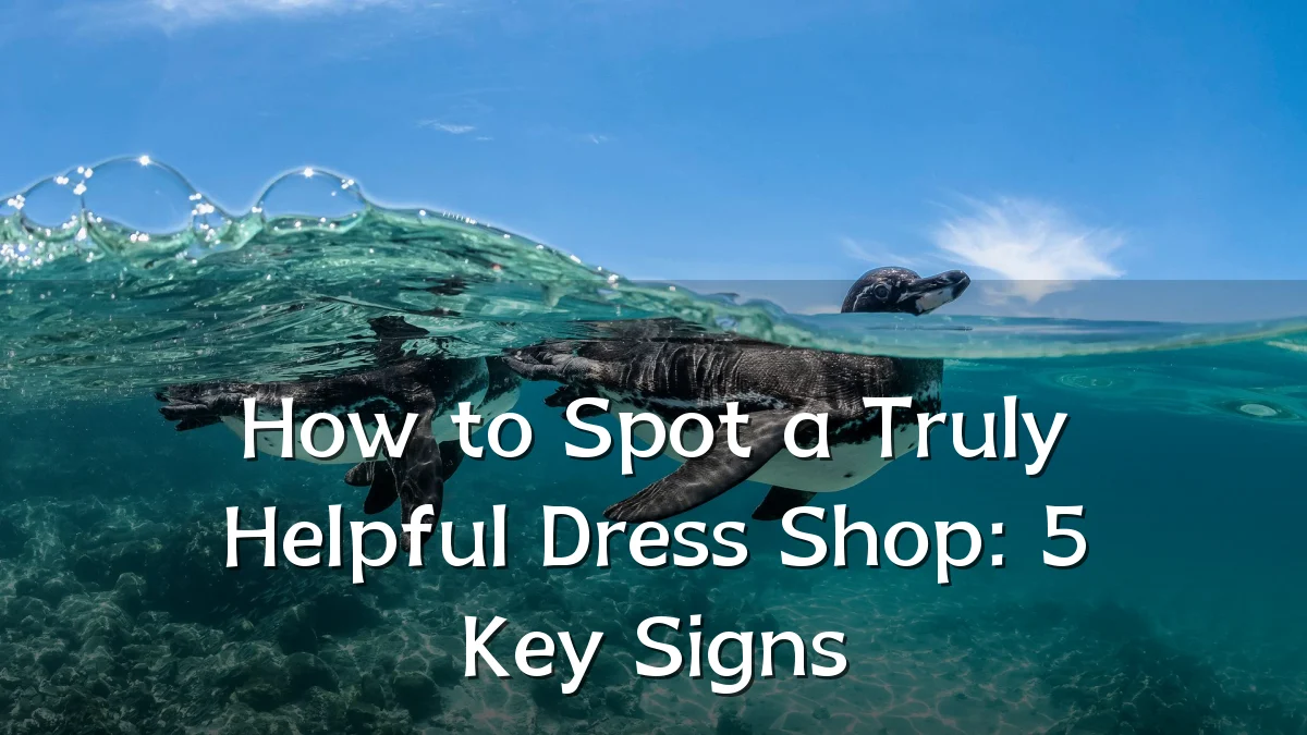 How to Spot a Truly Helpful Dress Shop: 5 Key Signs