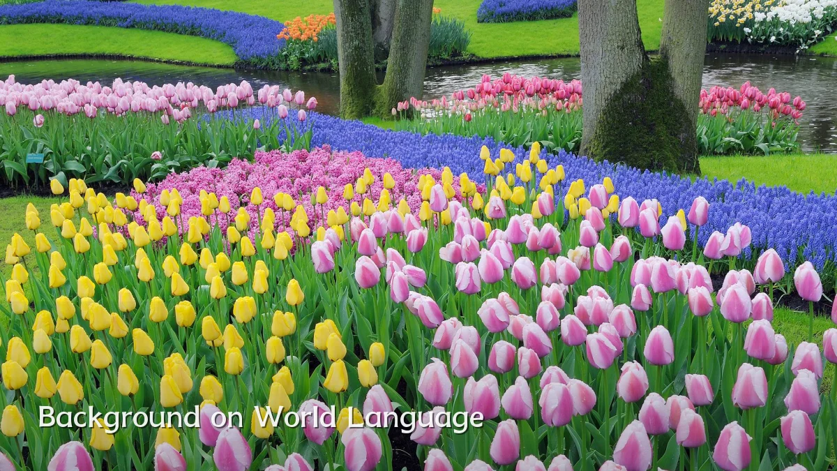 Background on World Language