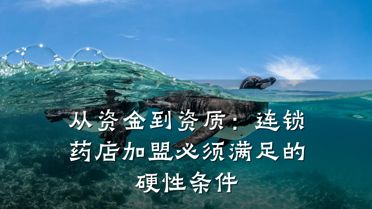 从资金到资质:连锁药店加盟必须满足的硬性条件