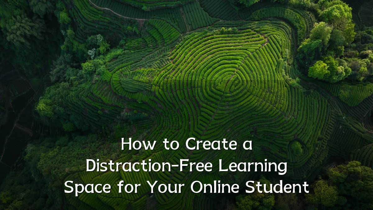 How to Create a Distraction-Free Learning Space for Your Online Student