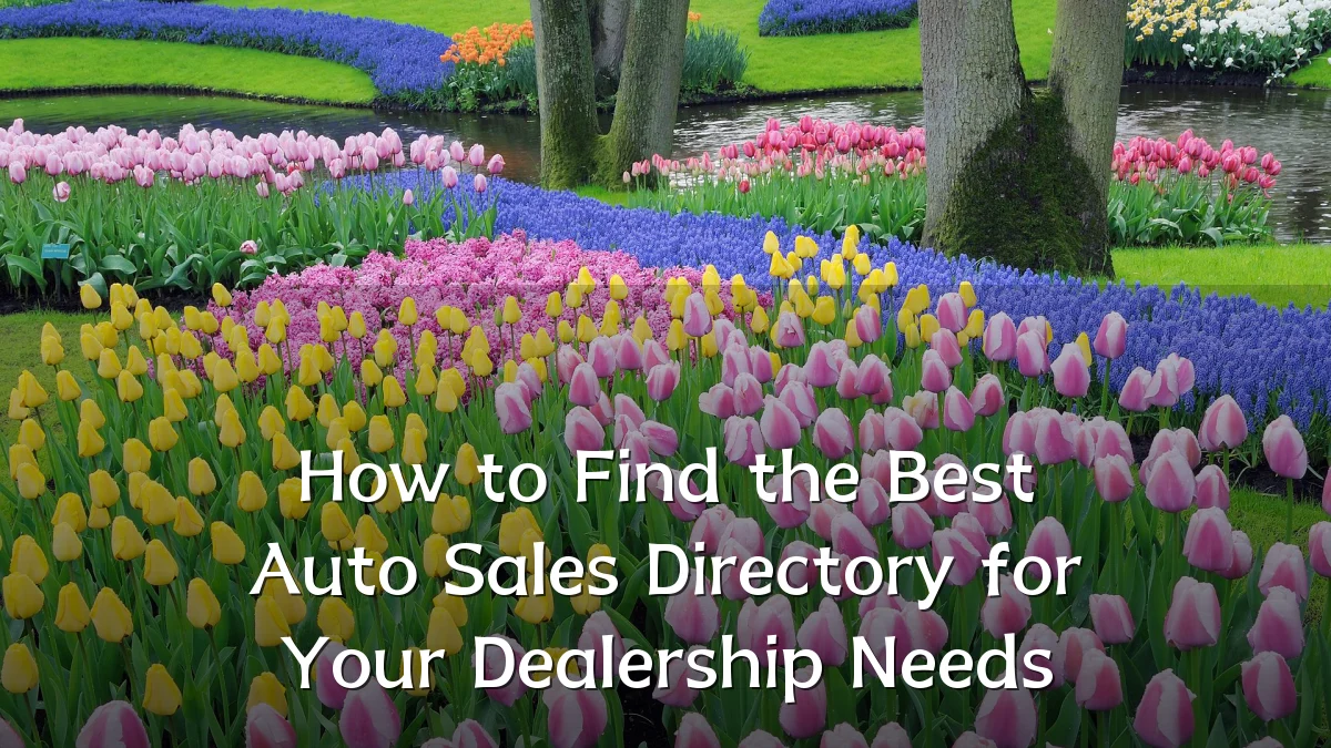How to Find the Best Auto Sales Directory for Your Dealership Needs