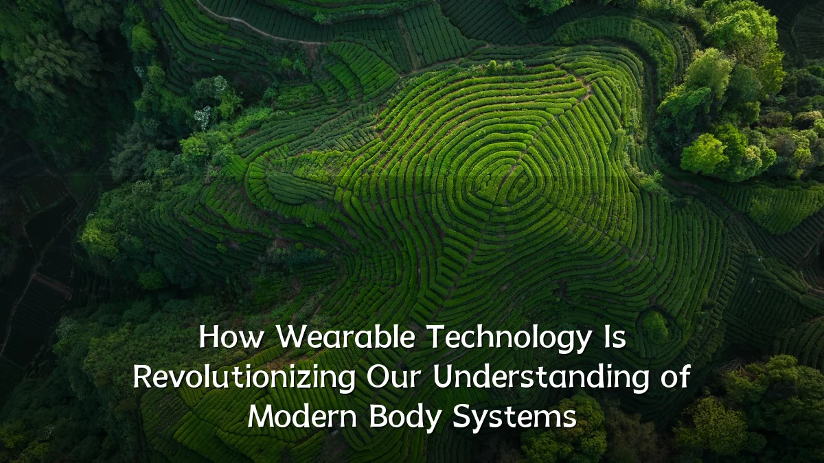 How Wearable Technology Is Revolutionizing Our Understanding of Modern Body Systems