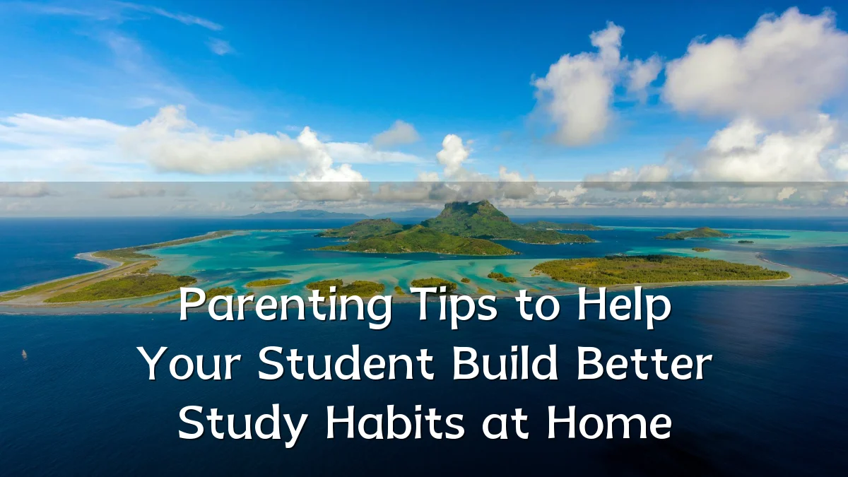Parenting Tips to Help Your Student Build Better Study Habits at Home