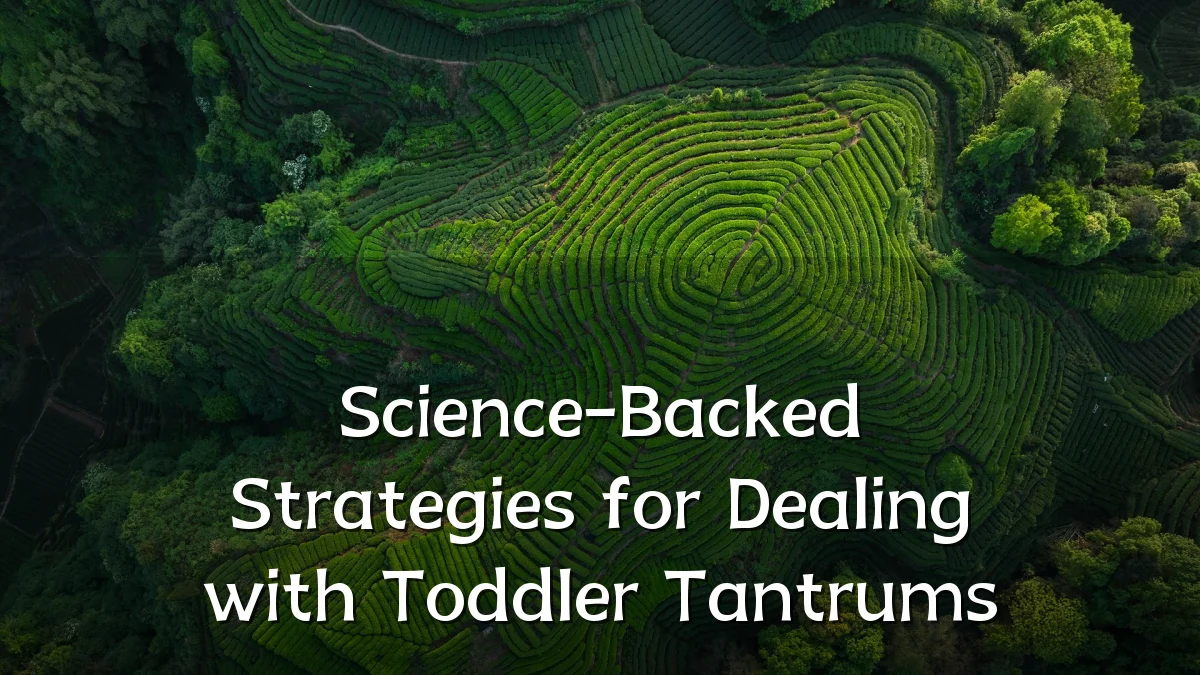 Science-Backed Strategies for Dealing with Toddler Tantrums