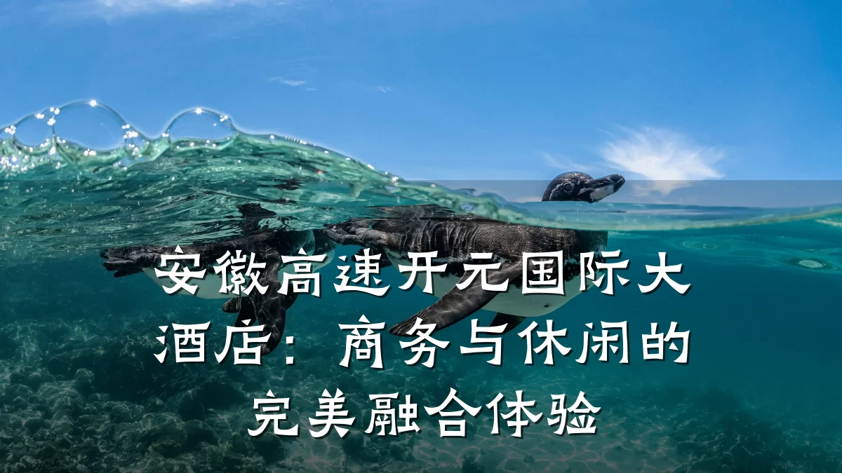 安徽高速开元国际大酒店：商务与休闲的完美融合体验