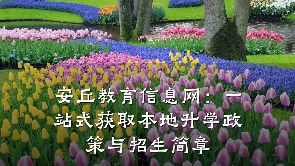 安丘教育信息网:一站式获取本地升学政策与招生简章