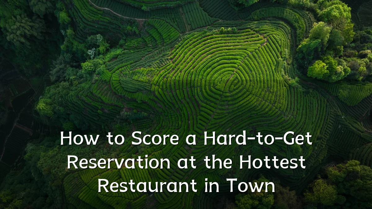 How to Score a Hard-to-Get Reservation at the Hottest Restaurant in Town