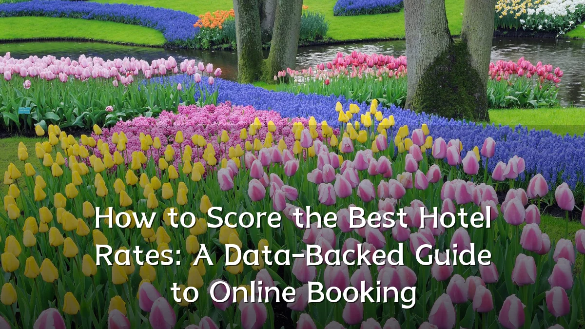 How to Score the Best Hotel Rates: A Data-Backed Guide to Online Booking