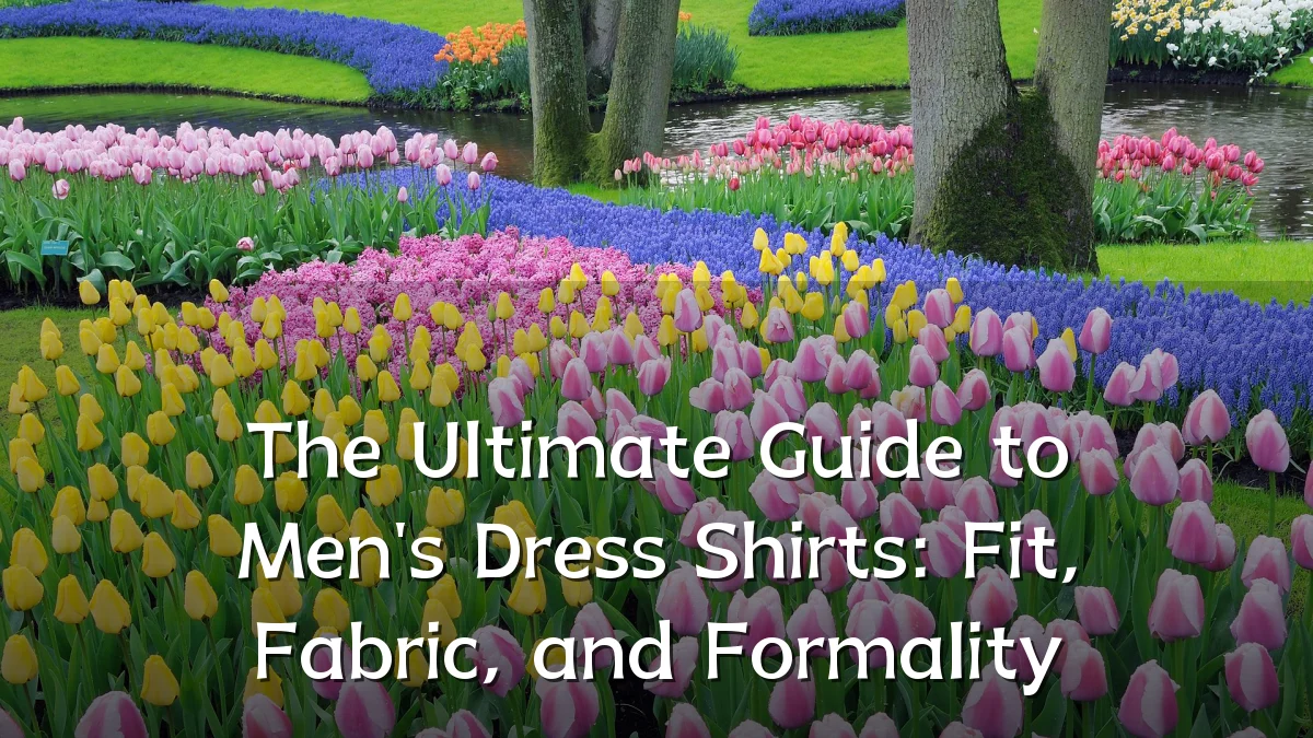 The Ultimate Guide to Men's Dress Shirts: Fit, Fabric, and Formality